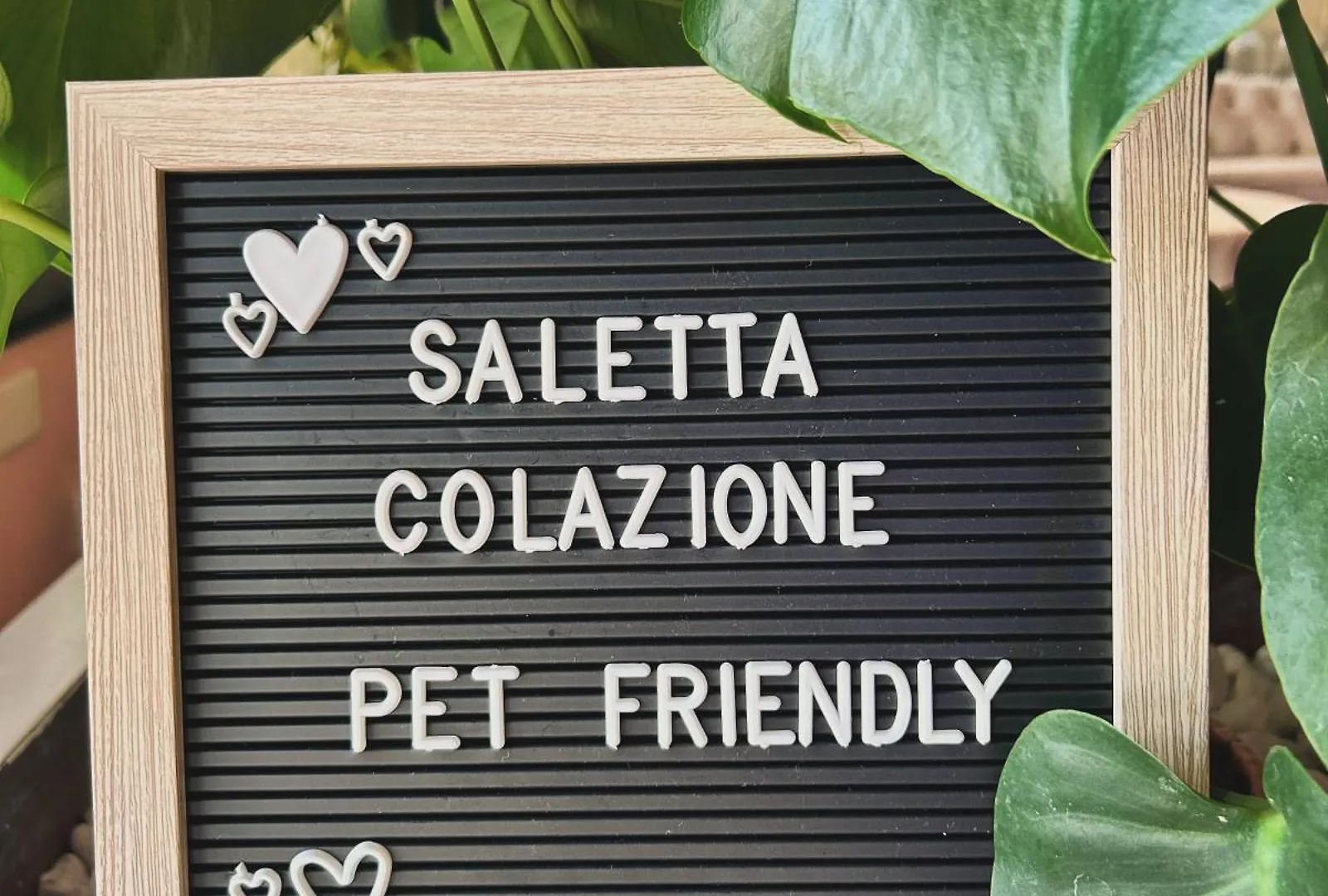 Hotel Baby B&B Milano Marittima